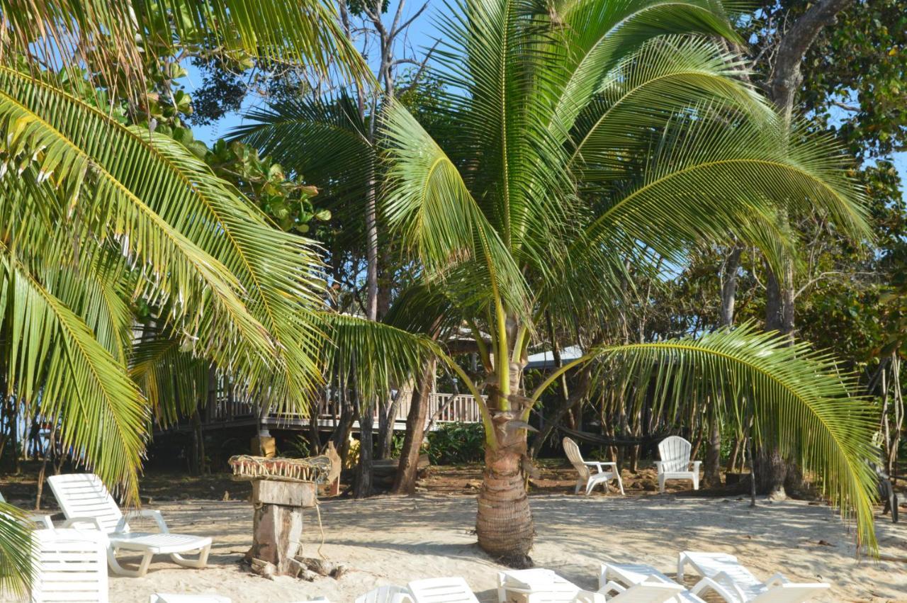 Sonny Island Resort Cabanas Frente Al Mar Punta Bajo Rico エクステリア 写真